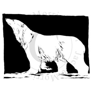 Jackie Morris Polar Bear