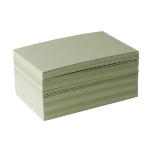 Kiwi Business Card Blanks (Pack of 100)